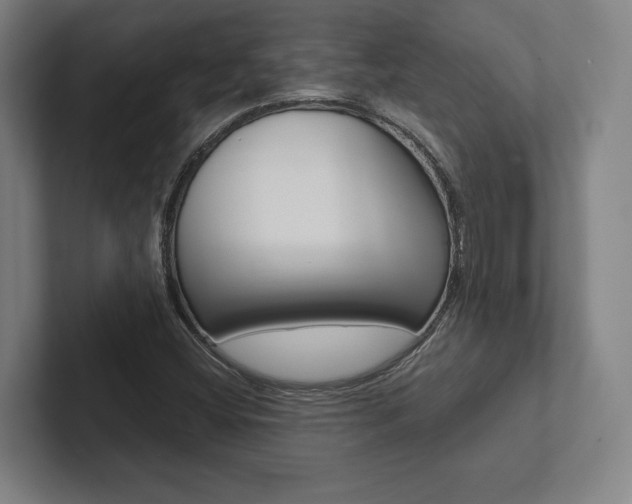 X0000102801404200808180923