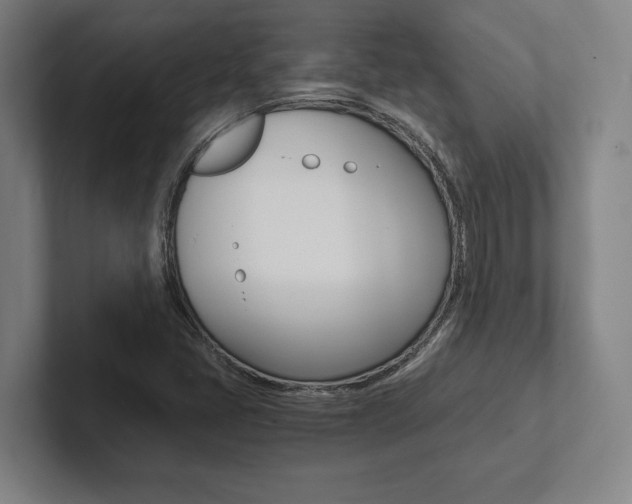 X0000102801405200808180923