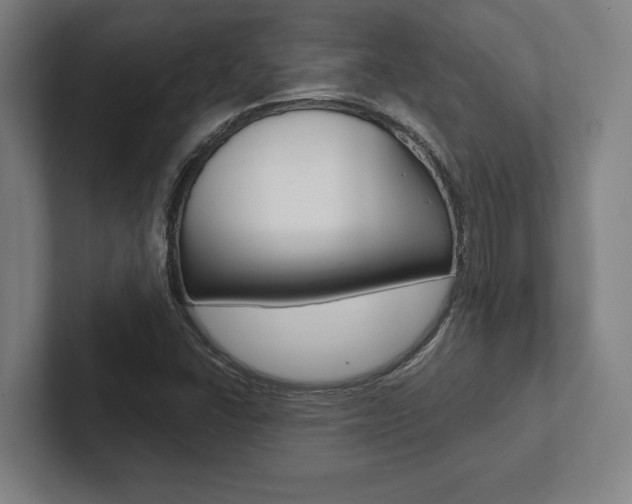 X0000102801406200808180923