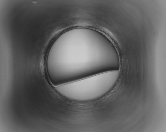 X0000102801408200808180923