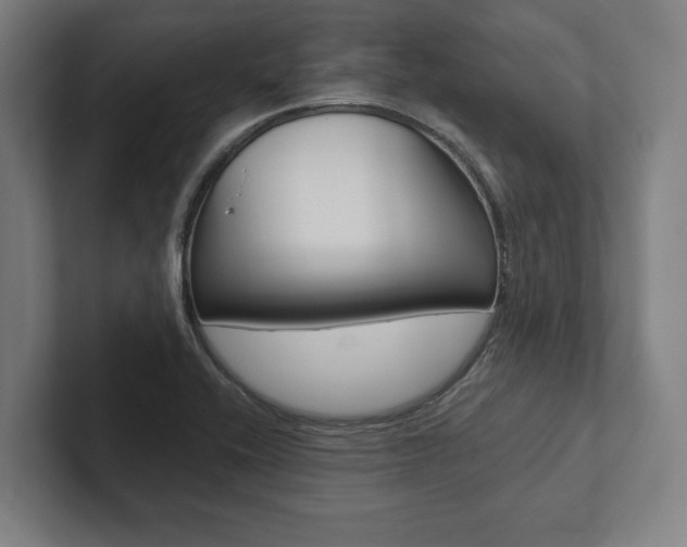 X0000102801416200808180923