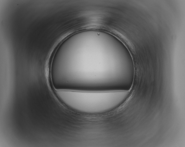 X0000102801418200808180923