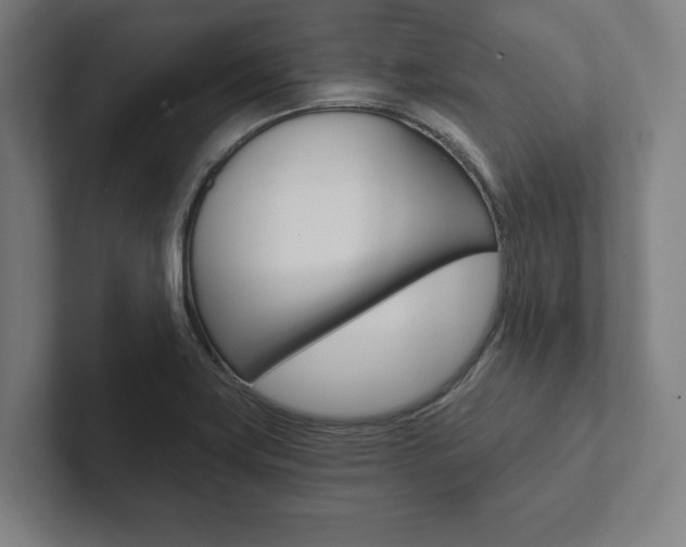 X0000102801419200808180923
