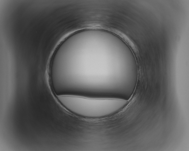 X0000102801432200808180923