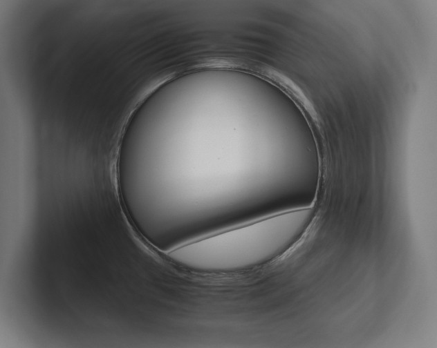 X0000102801433200808180923