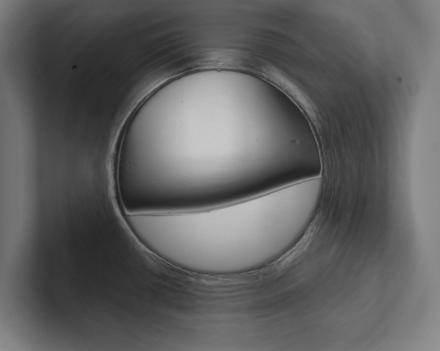 X0000102801434200808180923