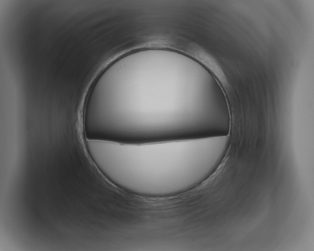 X0000102801436200808180924