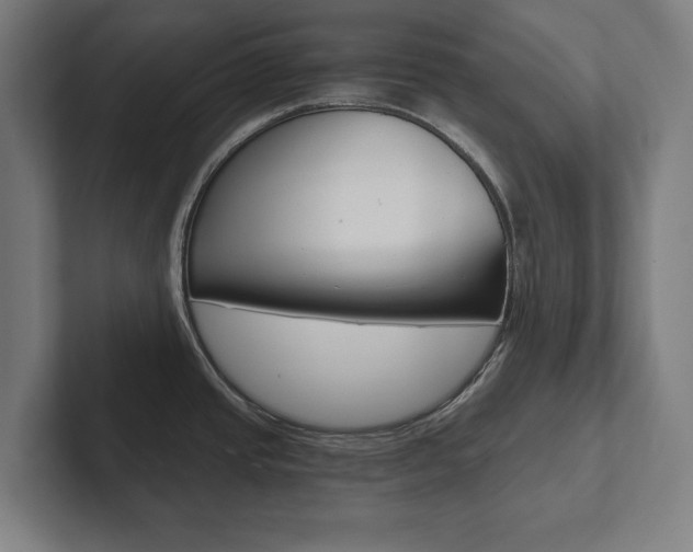X0000102801437200808180924
