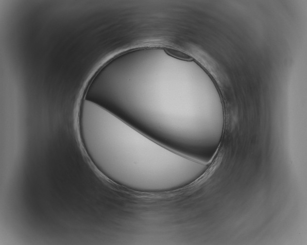 X0000102801438200808180924