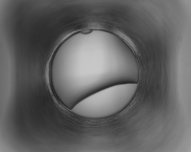 X0000102801439200808180924