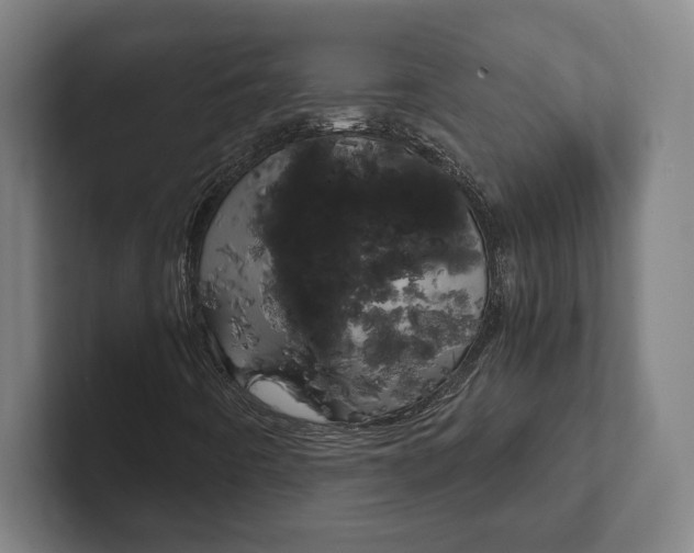 X0000102801442200808180923