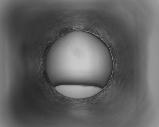 X0000102801445200808180923