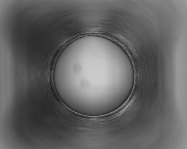 X0000102801449200808180923