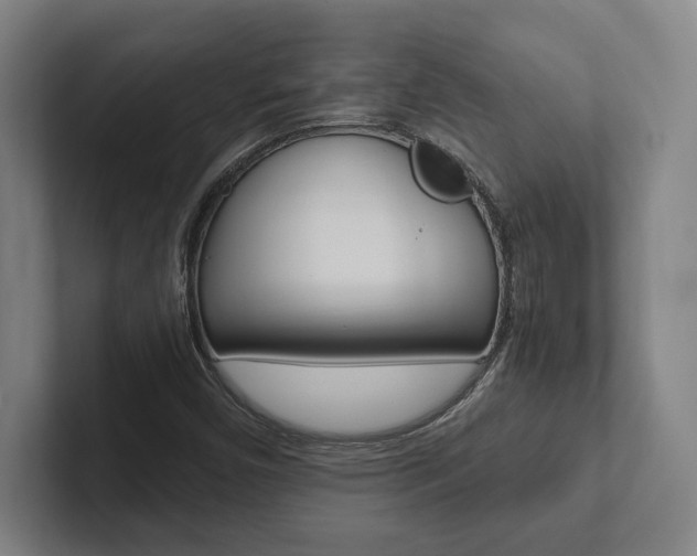 X0000102801450200808180923