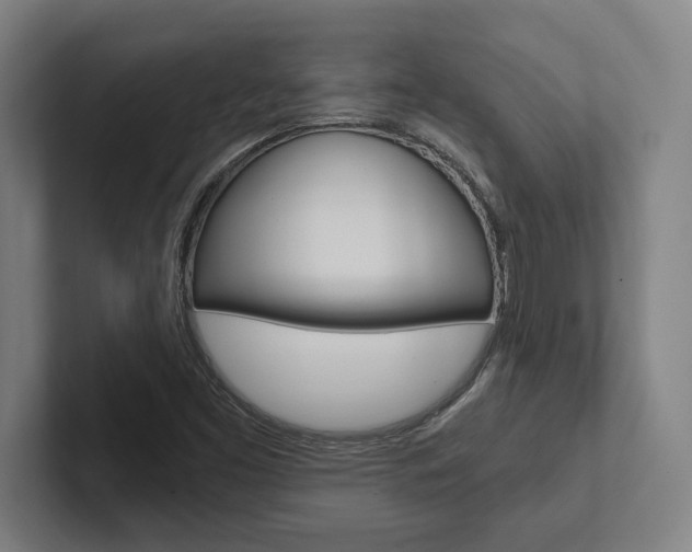 X0000102801453200808180923