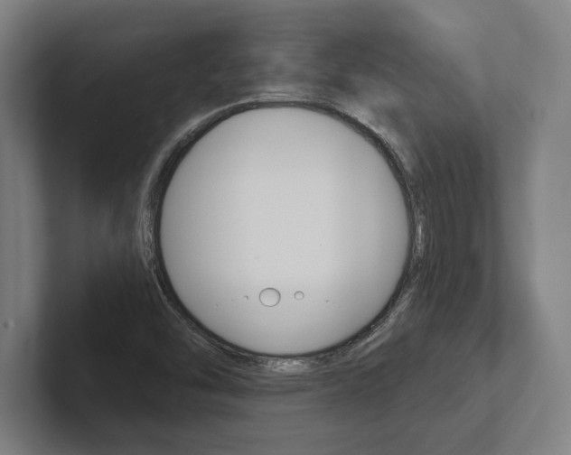 X0000102801454200808180923