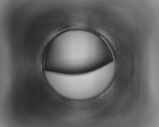 X0000102801455200808180923