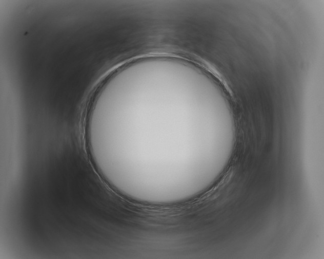 X0000102801456200808180923