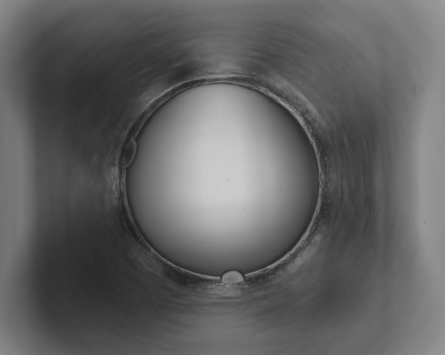 X0000102801457200808180923