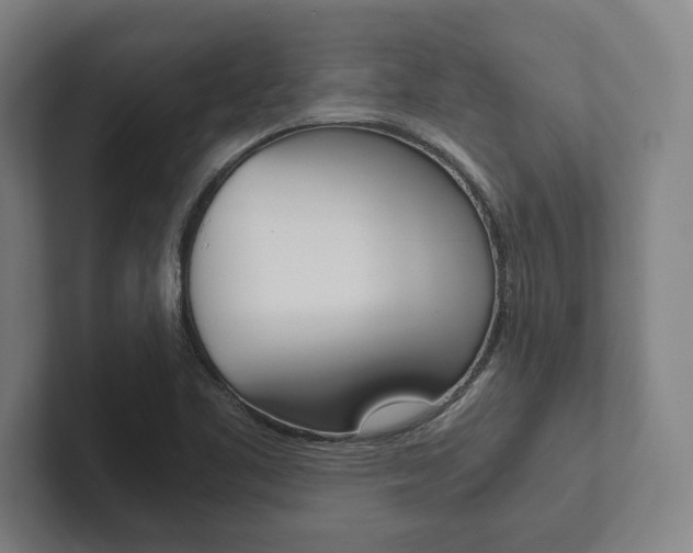 X0000102801461200808180923