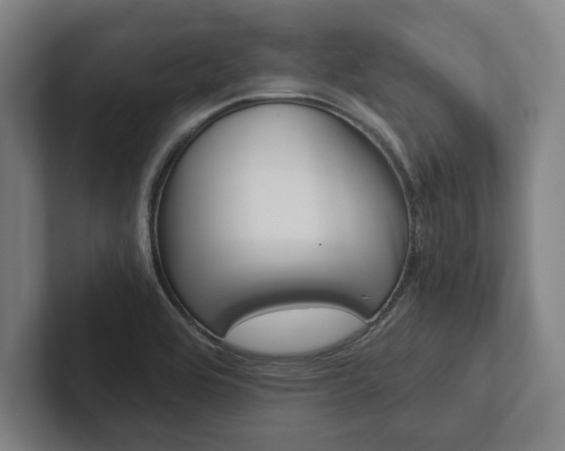 X0000102801464200808180923