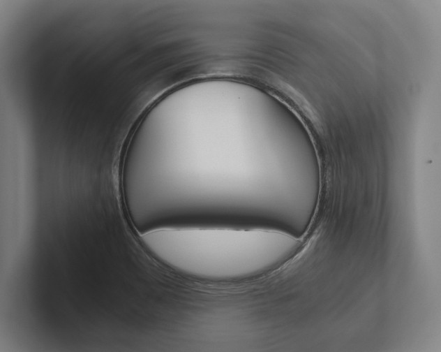 X0000102801465200808180923