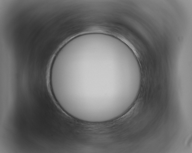 X0000102801477200808180922