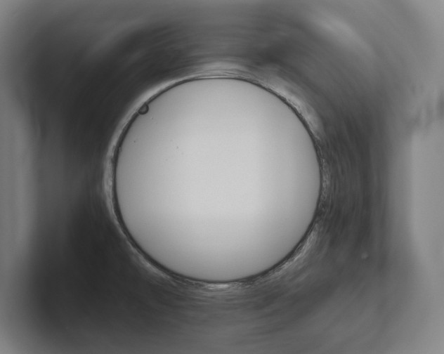 X0000102801478200808180922