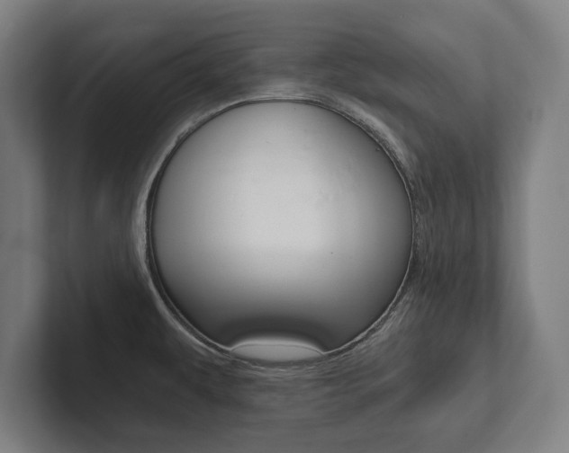 X0000102801479200808180922