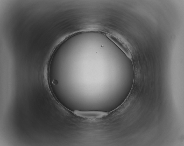 X0000102801480200808180922
