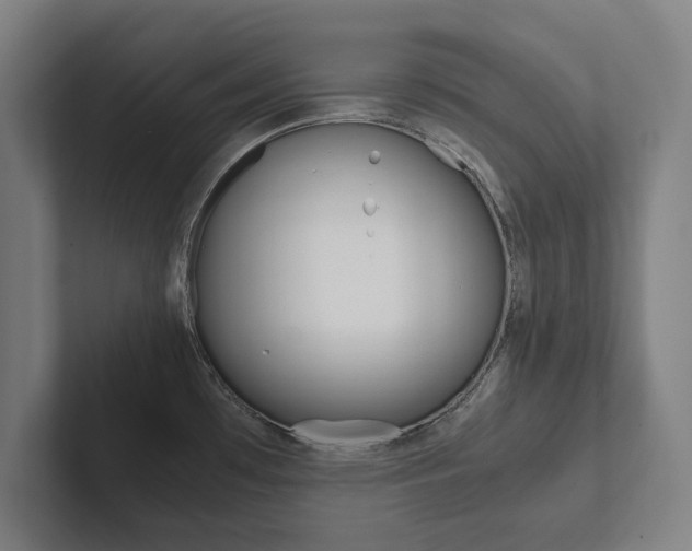 X0000102801481200808180922