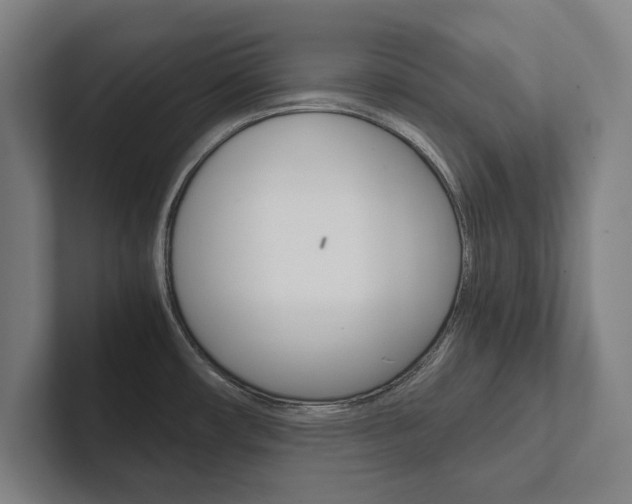 X0000102801482200808180922