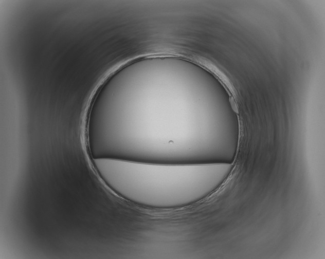 X0000102801485200808180922