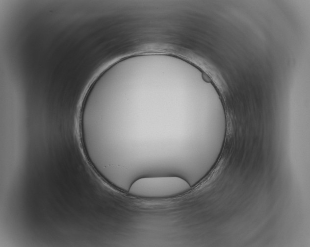 X0000102801486200808180922