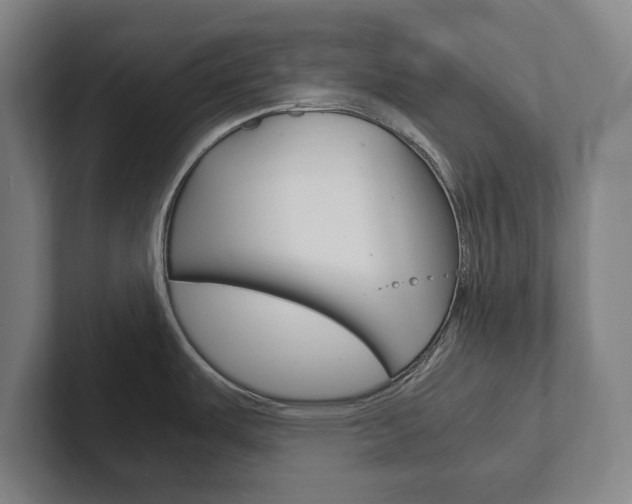 X0000102801487200808180922