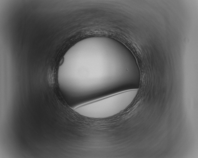 X0000102801490200808180922