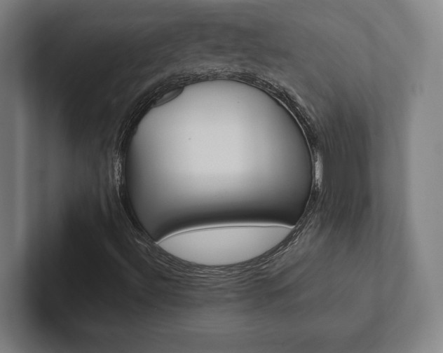 X0000102801492200808180922
