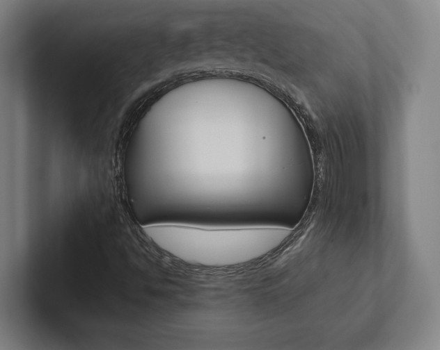 X0000102801494200808180922