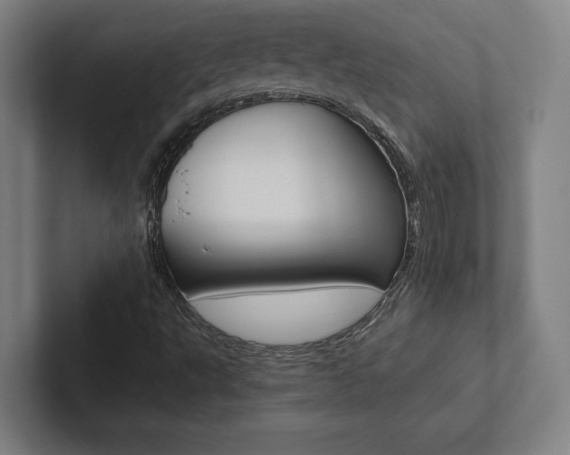 X0000102801495200808180922