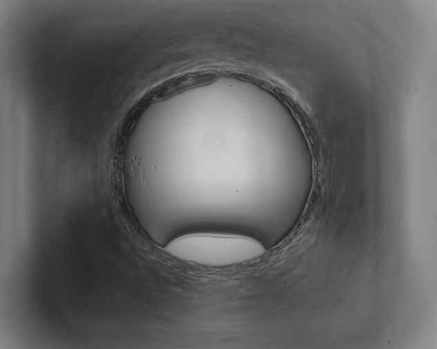 X0000102801496200808180922
