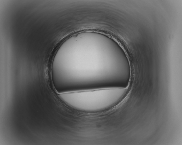 X0000102801497200808180922