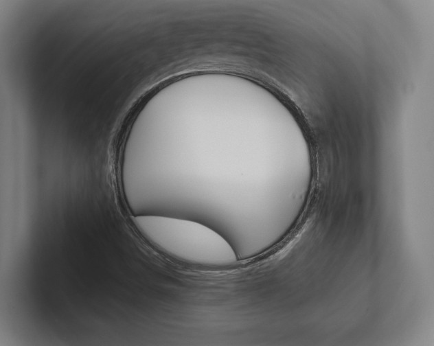 X0000102801498200808180922