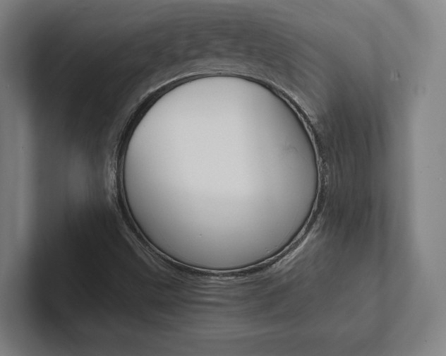 X0000102801499200808180922
