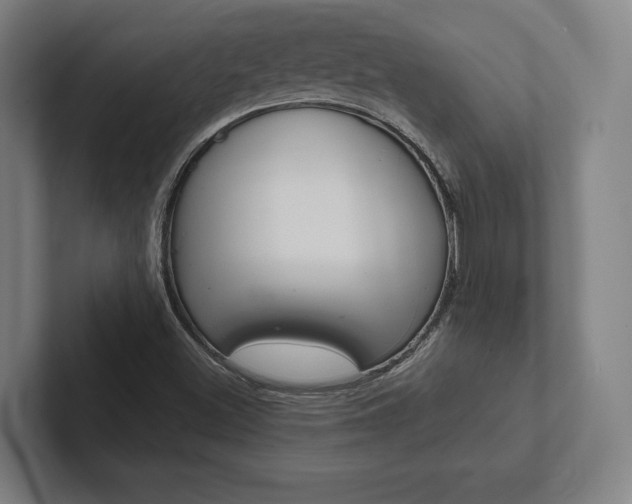 X0000102801500200808180922