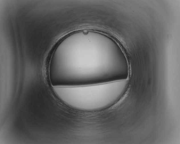X0000102801501200808180922