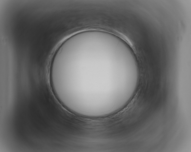 X0000102801504200808180922