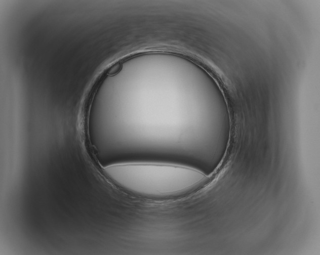 X0000102801506200808180922