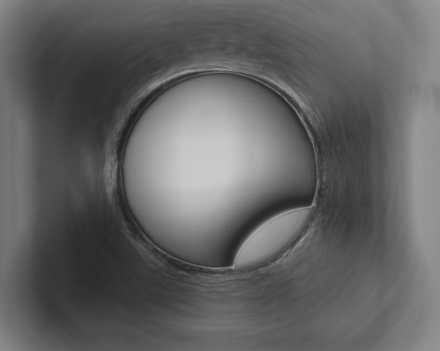 X0000102801507200808180922