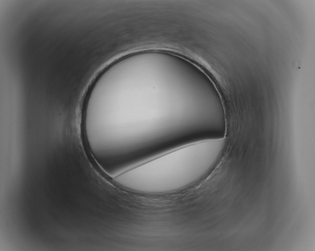 X0000102801508200808180922