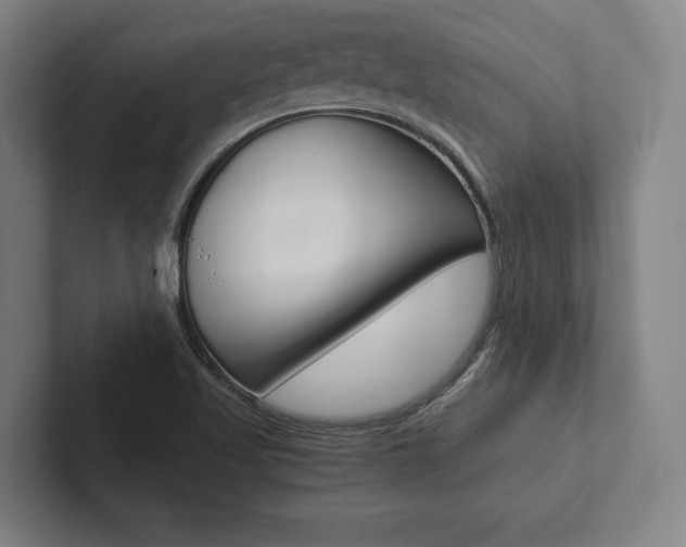 X0000102801509200808180922